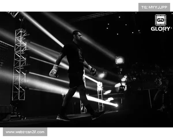 重量级冠军战意外终止引发关注 技术动作规范成行业热议焦点